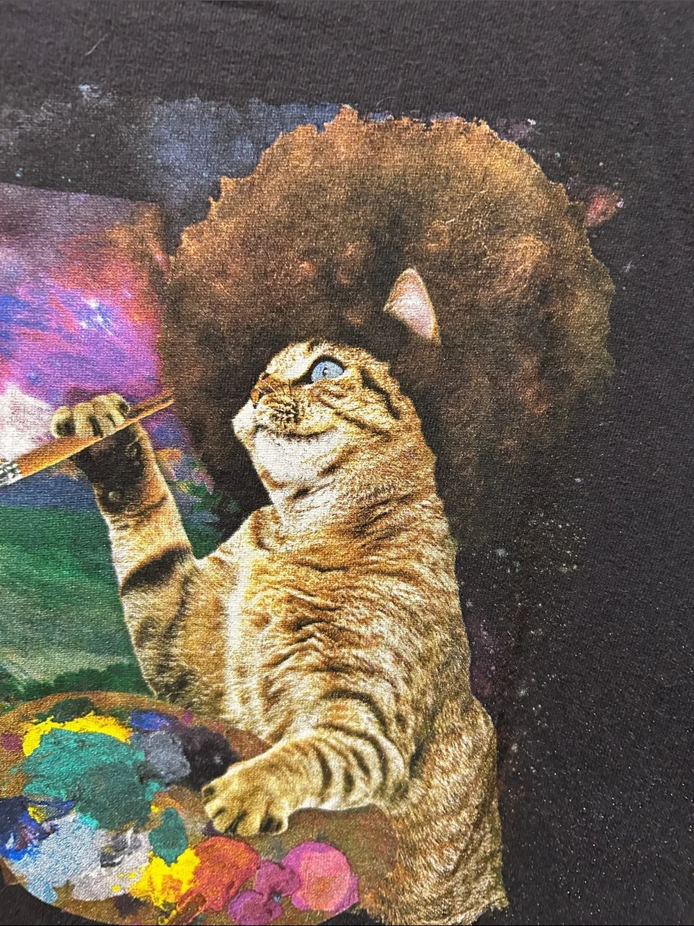 Spencer Bob Ross Artist Cat Graphic Tee - Black